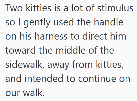 Two kitties is a lot of stimulus so I gently used the handle on his harness to direct him toward the middle of the sidewalk, away from kitties, and intended to continue on our walk.