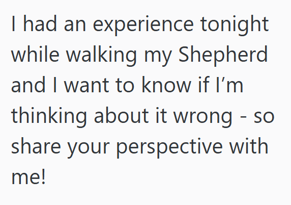 I had an experience tonight while walking my Shepherd and I want to know if I'm thinking about it wrong - so share your perspective with me!