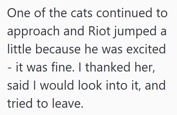 One of the cats continued to approach and Riot jumped a little because he was excited - it was fine. I thanked her, said I would look into it, and tried to leave.