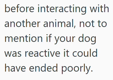 before interacting with another animal, not to mention if your dog was reactive it could have ended poorly.