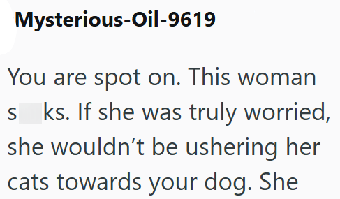 Mysterious-Oil-9619 You are spot on. This woman sks. If she was truly worried, she wouldn't be ushering her cats towards your dog. She
