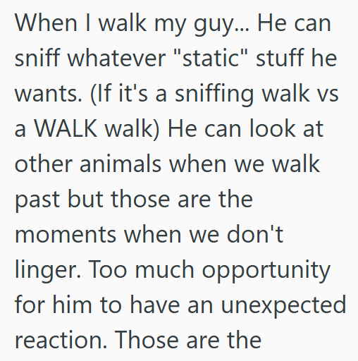 When I walk my guy... He can sniff whatever "static" stuff he wants. (If it's a sniffing walk vs a WALK walk) He can look at other animals when we walk past but those are the moments when we don't linger. Too much opportunity for him to have an unexpected reaction. Those are the