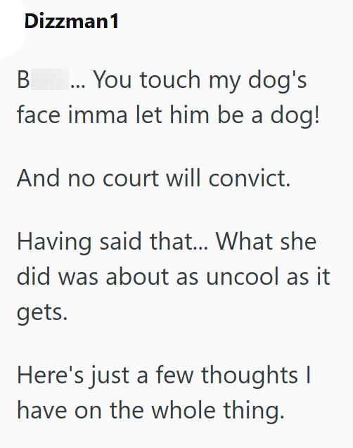 Dizzman1 B ... You touch my dog's face imma let him be a dog! And no court will convict. Having said that... What she did was about as uncool as it gets. Here's just a few thoughts I have on the whole thing.