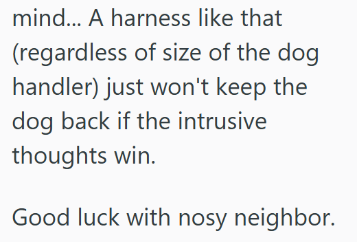 mind... A harness like that (regardless of size of the dog handler) just won't keep the dog back if the intrusive thoughts win. Good luck with nosy neighbor.