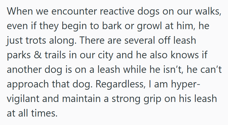 When we encounter reactive dogs on our walks, even if they begin to bark or growl at him, he just trots along. There are several off leash parks & trails in our city and he also knows if another dog is on a leash while he isn't, he can't approach that dog. Regardless, I am hyper- vigilant and maintain a strong grip on his leash at all times.