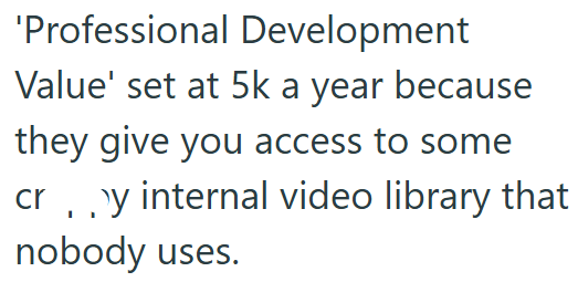 'Professional Development Value' set at 5k a year because they give you access to some cry internal video library that nobody uses.