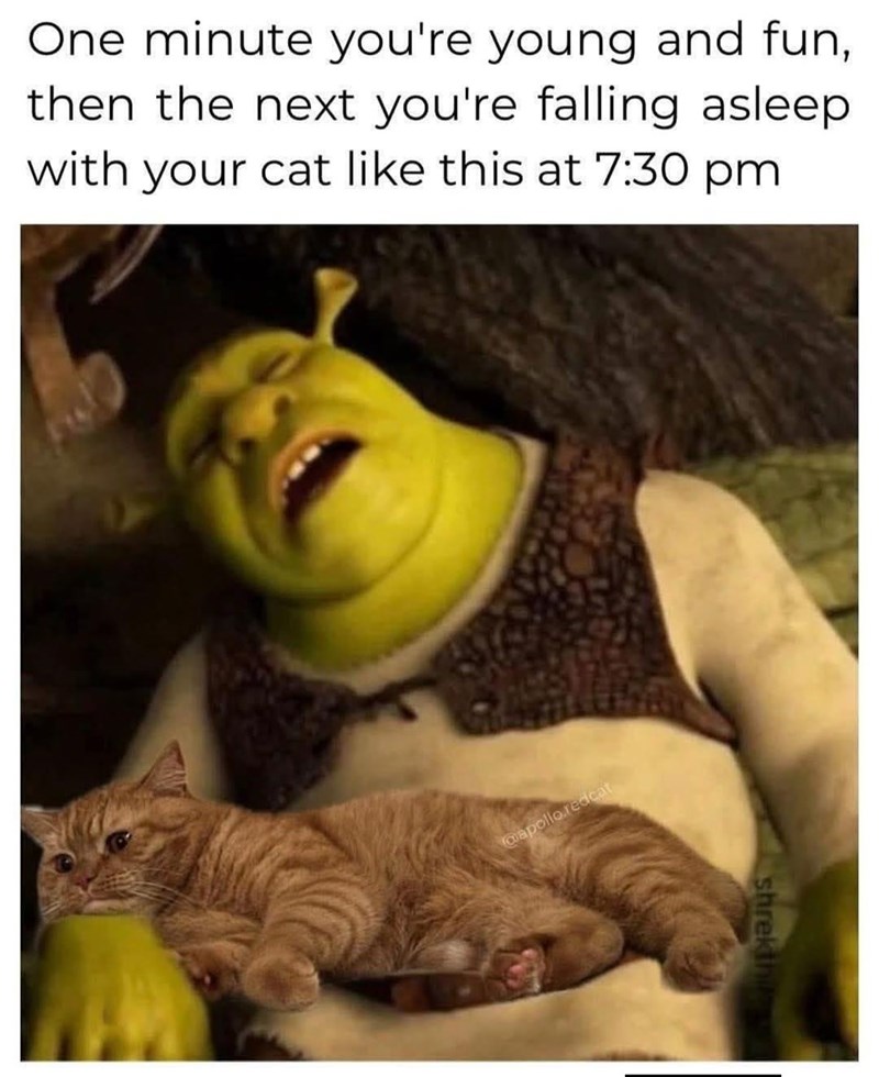 One minute you're young and fun, then the next you're falling asleep with your cat like this at 7:30 pm @apollo.redcat shrekthin