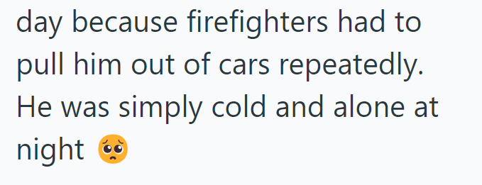 day because firefighters had to pull him out of cars repeatedly. He was simply cold and alone at night