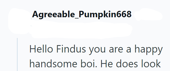 Agreeable Pumpkin668 Hello Findus you are a happy. handsome boi. He does look
