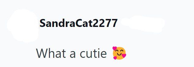 SandraCat2277 What a cutie