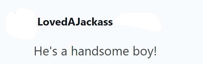 Loved AJackass He's a handsome boy!