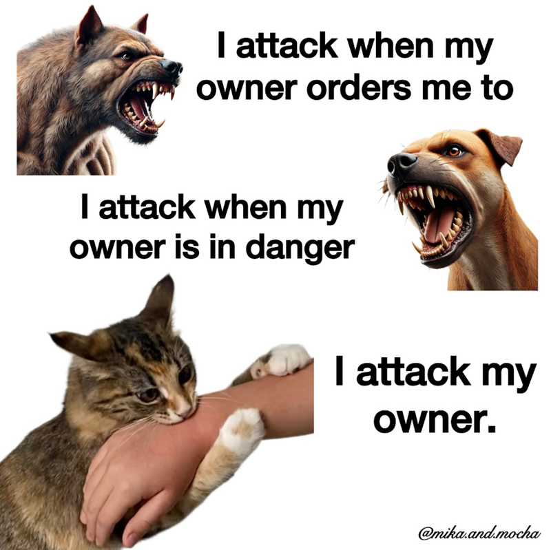 I attack when my owner orders me to I attack when my owner is in danger I attack my owner. @mika.and.mocha
