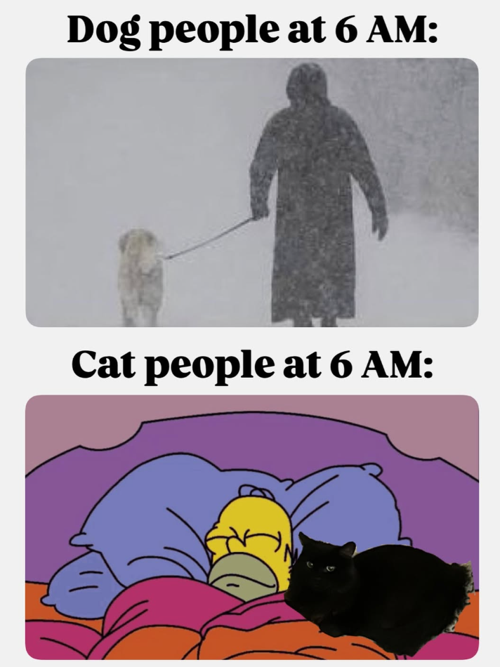 Dog people at 6 AM: Cat people at 6 AM: