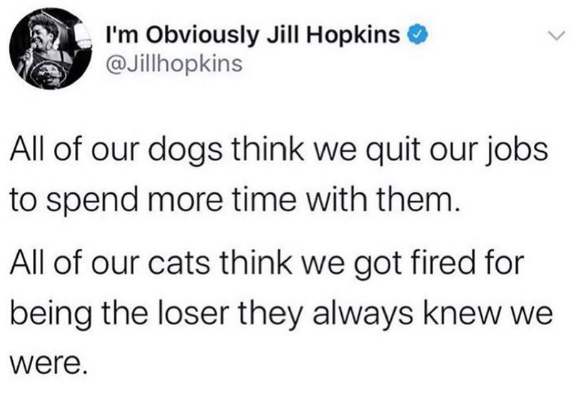 I'm Obviously Jill Hopkins @Jillhopkins All of our dogs think we quit our jobs to spend more time with them. All of our cats think we got fired for being the loser they always knew we were.