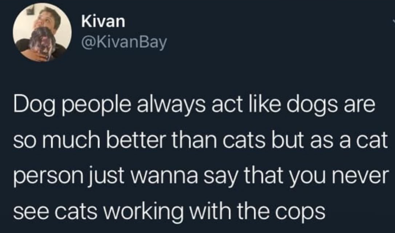 Kivan @KivanBay Dog people always act like dogs are so much better than cats but as a cat person just wanna say that you never see cats working with the cops