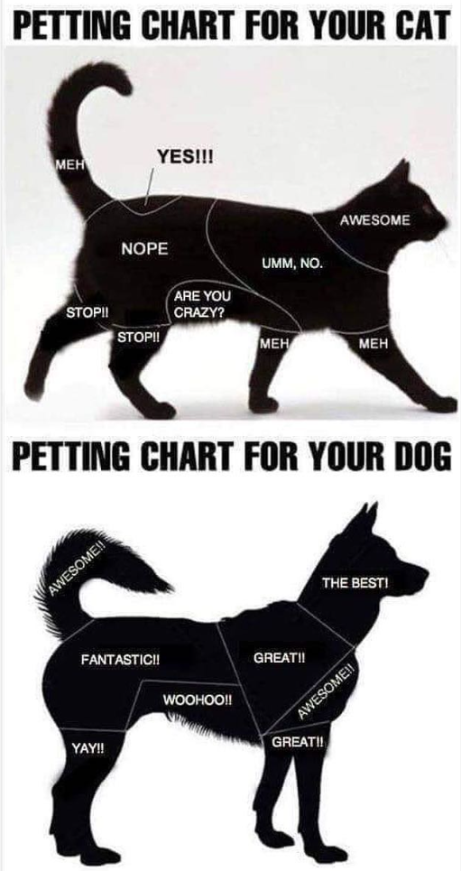 PETTING CHART FOR YOUR CAT YES!!! MEH AWESOME NOPE UMM, NO. STOP!! ARE YOU CRAZY? STOP!! MEH MEH PETTING CHART FOR YOUR DOG AWESOME!! FANTASTIC!! WOOHOO!! YAY!! GREAT!! THE BEST! AWESOME!! GREAT!!
