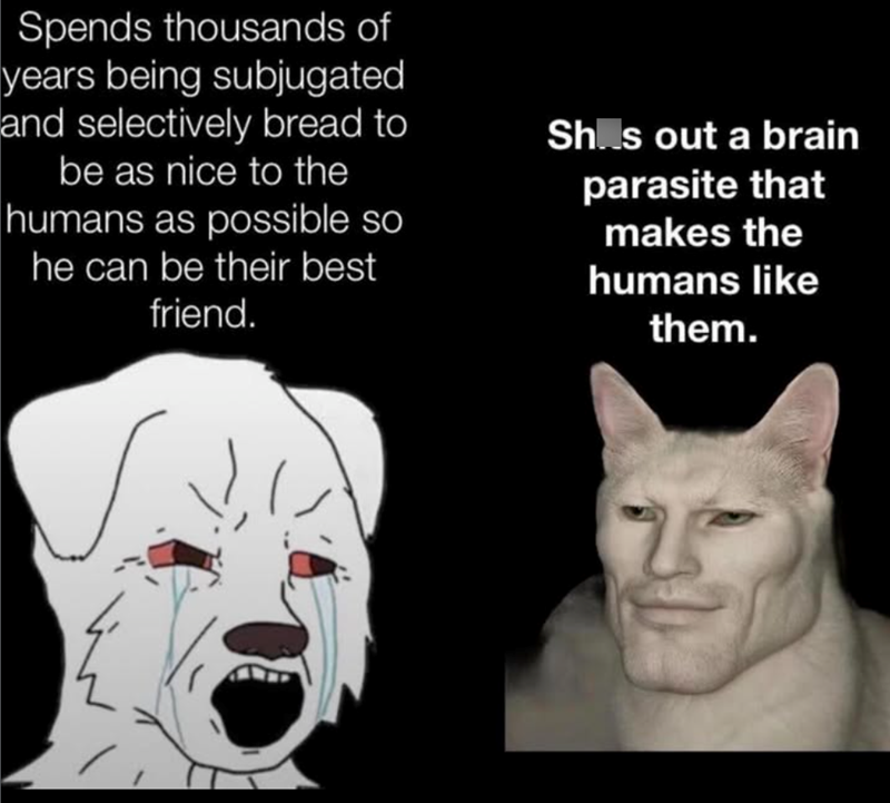 Spends thousands of years being subjugated and selectively bread to be as nice to the humans as possible so he can be their best friend. Shs out a brain parasite that makes the humans like them.