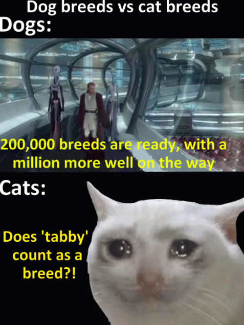 Dog breeds vs cat breeds Dogs: 200,000 breeds are ready, with a million more well on the way Cats: Does 'tabby' count as a breed?!