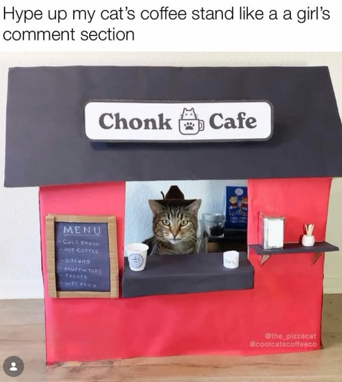 Hype up my cat's coffee stand like a a girl's comment section Chonk Cafe F MENU COLD BREW HOT COFFEE BLSCUITS MUFFIN TOPS THEATS WIT FOOD THS @the_pizzacat coolcatscoffeeco