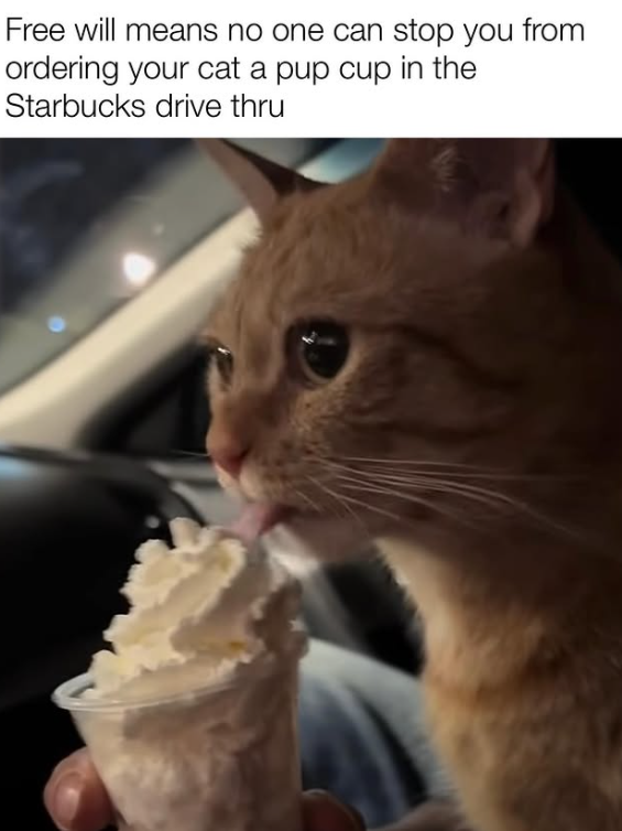 Free will means no one can stop you from ordering your cat a pup cup in the Starbucks drive thru