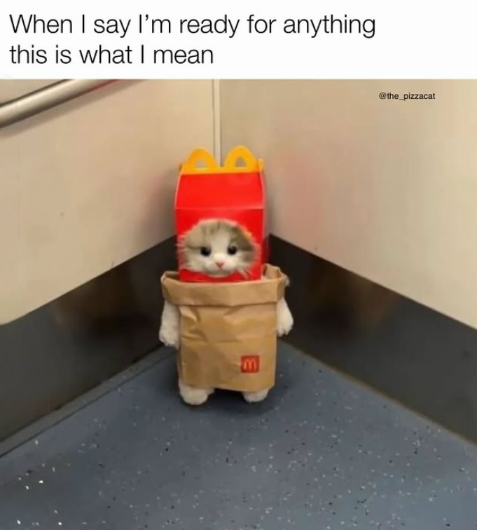 When I say I'm ready for anything this is what I mean @the_pizzacat E