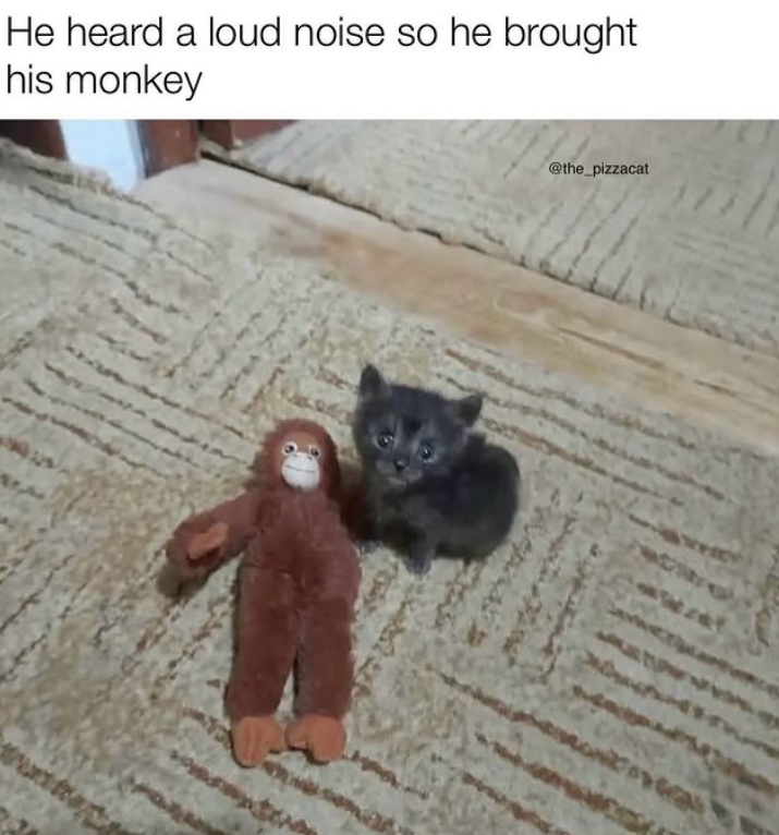 He heard a loud noise so he brought his monkey A @the_pizzacat