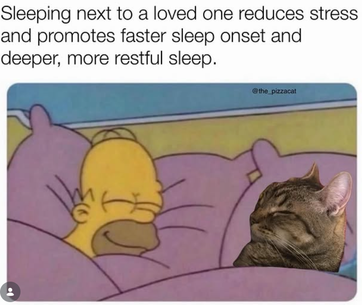 Sleeping next to a loved one reduces stress and promotes faster sleep onset and deeper, more restful sleep. @the_pizzacat