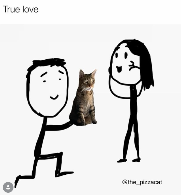 True love @the_pizzacat