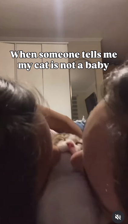 When someone tells me my cat is not a baby