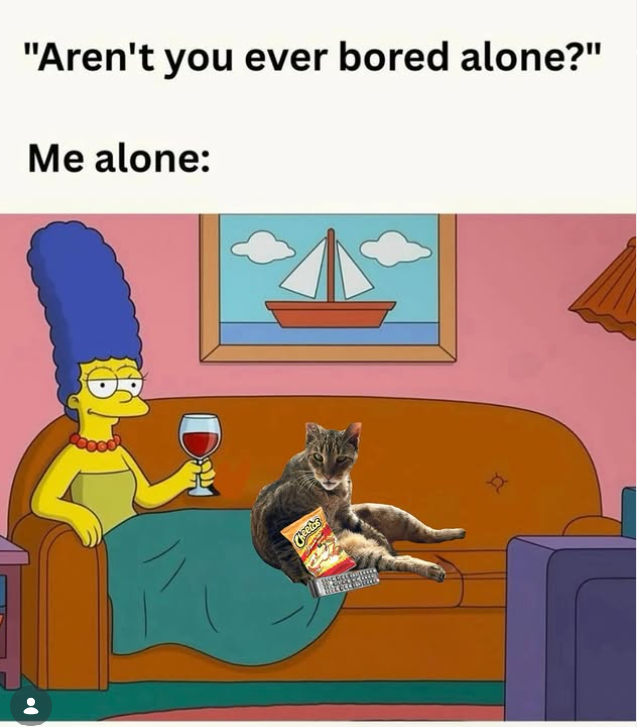 "Aren't you ever bored alone?" Me alone: D