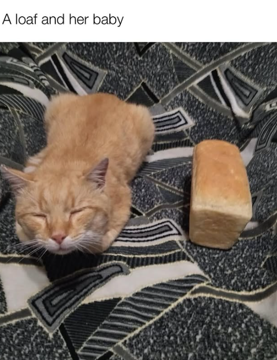 A loaf and her baby