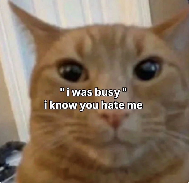 "i was busy" i know you hate me