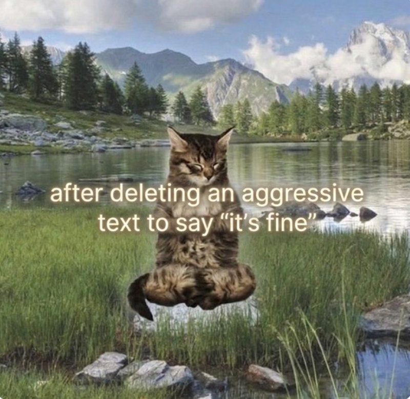 after deleting an aggressive text to say "it's fine"