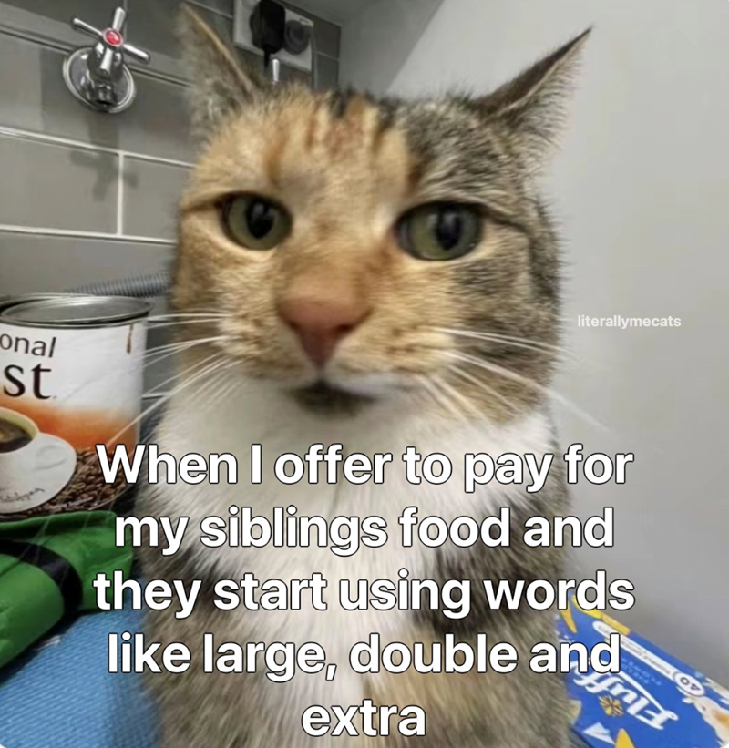 onal st literallymecats When I offer to pay for my siblings food and they start using words like large, double and extra