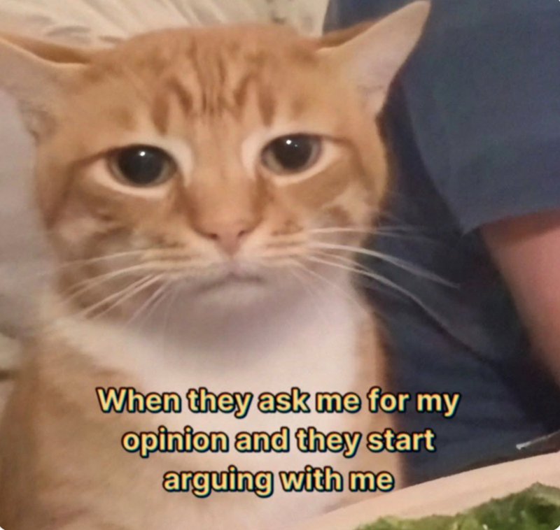 When they ask me for my opinion and they start arguing with me