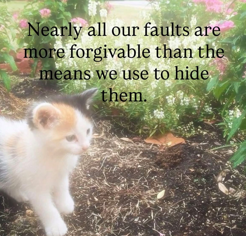 Nearly all our faults are more forgivable than the means we use to hide them.