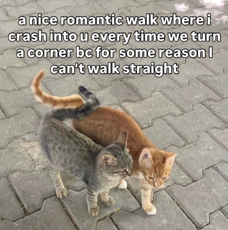 a nice romantic walk where i crash into u every time we turn a corner bc for some reason I can't walk straight