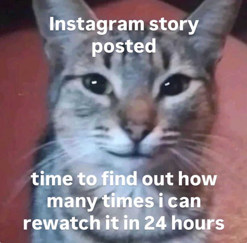 Instagram story posted time to find out how many times i can rewatch it in 24 hours