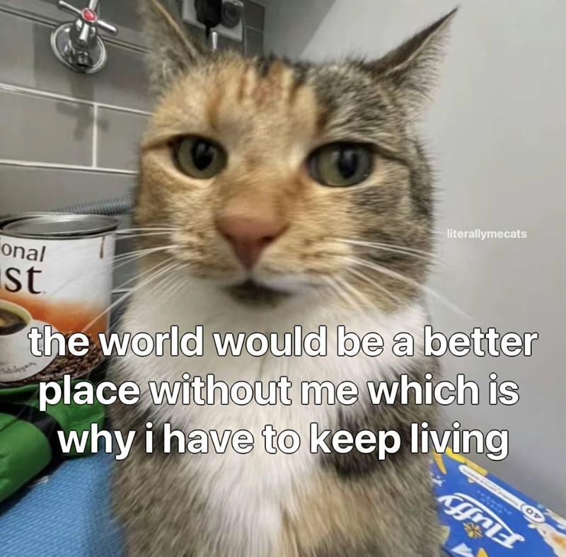 onal st literallymecats the world would be a better place without me which is why i have to keep living