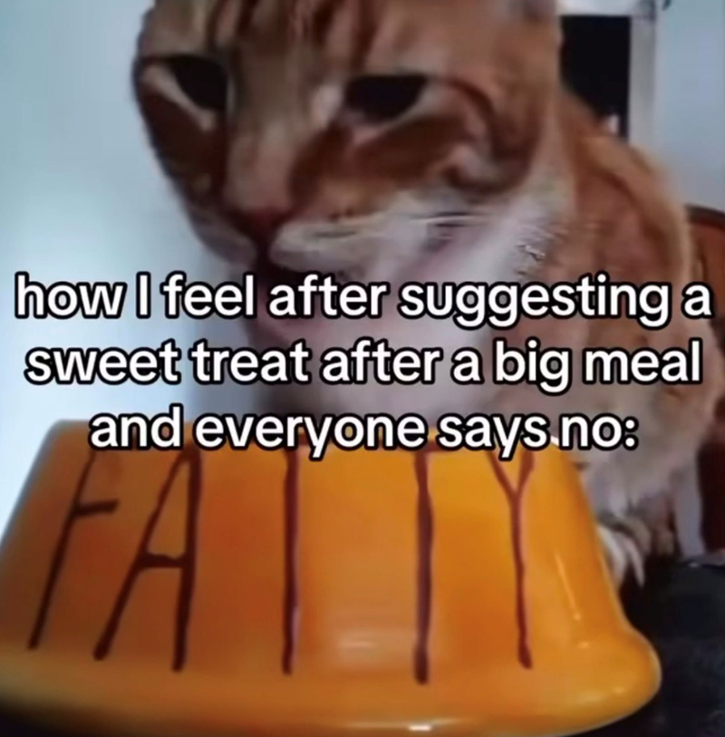 how I feel after suggesting a sweet treat after a big meal and everyone says no: