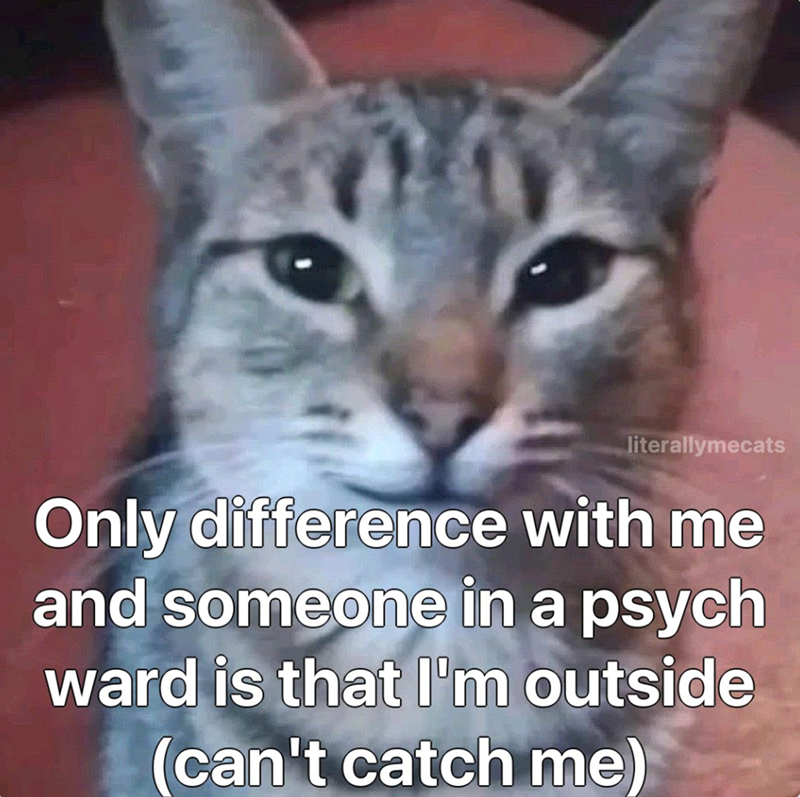 literallymecats Only difference with me and someone in a psych ward is that I'm outside (can't catch me)