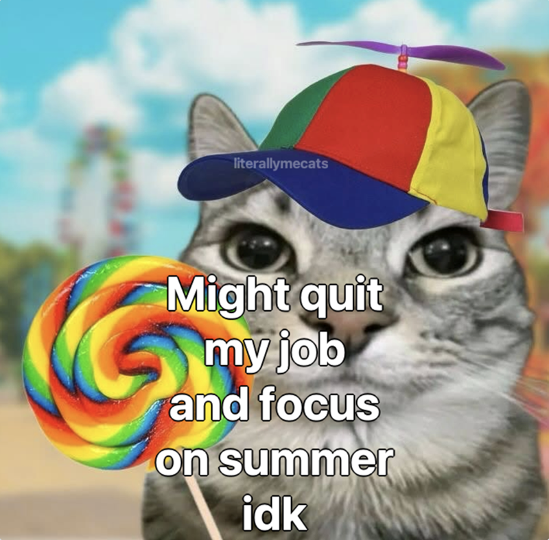 literallymecats Might quit my job and focus on summer idk