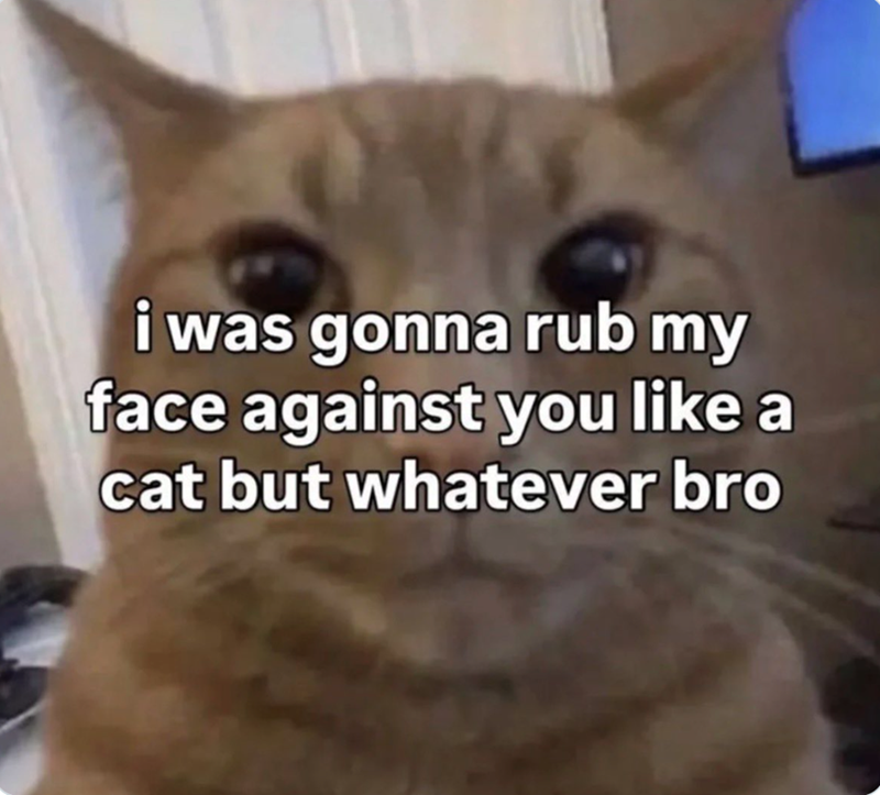 i was gonna rub my face against you like a cat but whatever bro