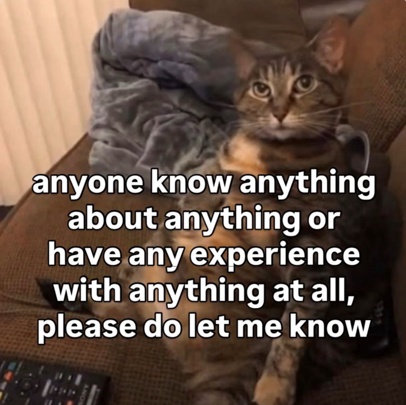 anyone know anything about anything or have any experience with anything at all, please do let me know