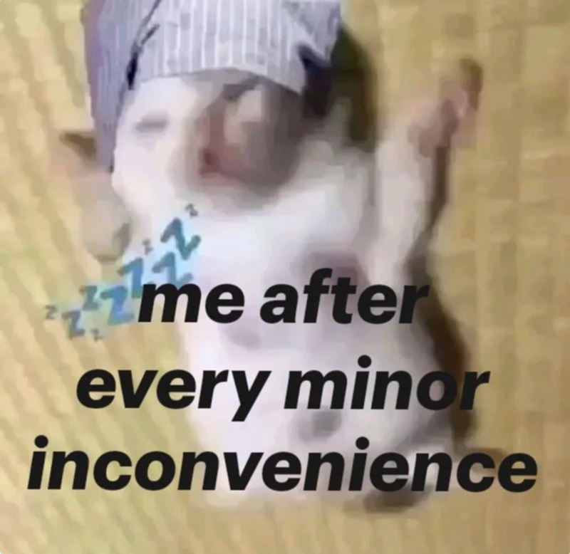 Z me after every minor inconvenience