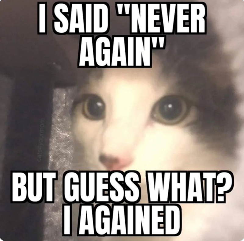 cats4yourmom I SAID "NEVER AGAIN" BUT GUESS WHAT? I AGAINED