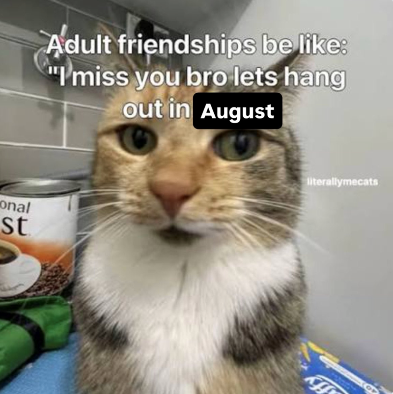 onal st Adult friendships be like: "I miss you bro lets hang out in August literallymecats