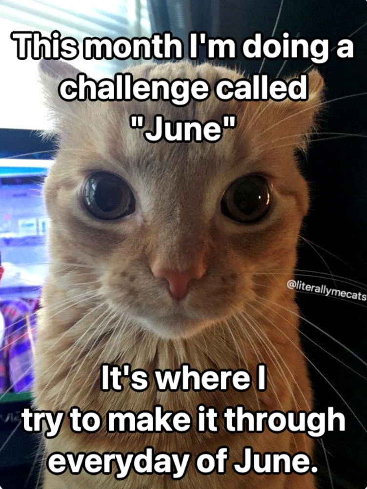 This month I'm doing a challenge called "June" @literallymecats It's where I try to make it through everyday of June.