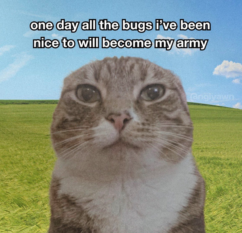 one day all the bugs i've been nice to will become my army @ngiyawn