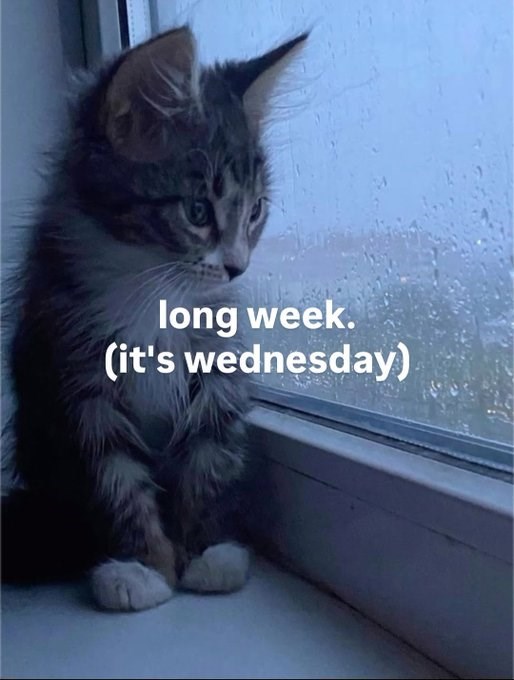 long week. (it's wednesday)